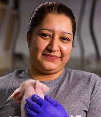 SUSTAINABILITY REPORT 2022