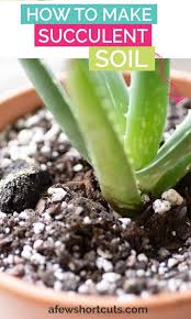 How To Make Succulent Soil In 2020 Succulent Soil Succulent Garden Design Types Of Succulents Plants