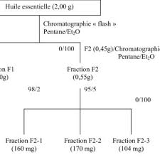 Pdf Etude De La Composition Chimique D Huiles Essentielles Et D Extraits De Menthe De Corse Et De Kumquats