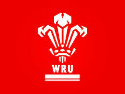 England rugby rose yorkshire iron on patch sew on badge dress transfer fabric clothe hq uk seller. Wru Logo Google Search Welsh Rugby Wales Rugby Welsh Rugby Team