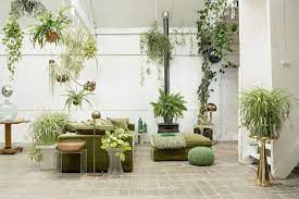 Clapton Tram Shed Photoshoot Location In London 1st Option Hanging Plants Bohemian Style Interior Design Indoor Planters