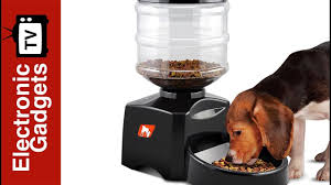 Founded in 1935, the stokes retail group has over 100 locations across the country and is canada's only national chain of kitchenware, tableware and giftware stores. The Best Gadgets For Pets