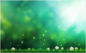 Green Nature Flwoers Background Wallpaper Green Nature Flwoers Background Wallpaper 108 Nature Backgrounds Iphone Nature Backgrounds Nature Background Images