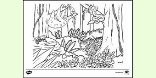We did not find results for: Colouring Pages Of Tropical Animals For Kids