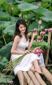 Hình ảnh hoa sen đẹp và tinh khiết nhất cho bạn đọc