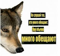 pin ot polzovatelya tihayamraz na doske mem v 2020 g bratskie citaty nauchnye shutki hristianskie memy