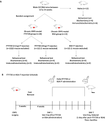 Sphingosine 1 Phosphate Receptor Modulation Attenuate Mechanical Allodynia In Mouse Model Of Chronic Complex Regional Pain Syndrome By Suppressing Pathogenic Astrocyte Activation Regional Anesthesia Pain Medicine