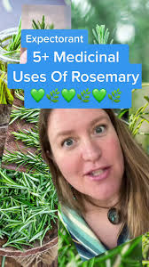 There’s so much medicine in the herbs and spices we cook with! 🌿Here’s a  bunch of ways you can use rosemary as medicine too. Want to learn more?  💚Grab my guide