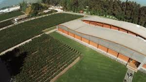 Image result for Wine Red 1996 AAV