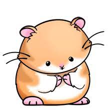 Hamster Cute Animals Cute Cartoon Animals Animal Drawings
