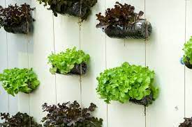 Maybe you would like to learn more about one of these? 18 Smart Vertical Garden Ideas For Small Spaces Horticulture
