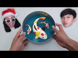Lihat juga resep puding ulang tahun ikan koi enak lainnya. Ide Usaha Puding Ikan Mas Koi Cantik Banget Cocok Untuk Ide Jualan Kekinian 19 Litetube