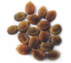 Image result for Albizia odoratissima