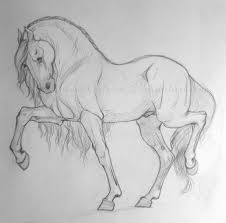 Pin By Fabio Joaquin On Animal Art And Concepts Horse Drawings Animal Drawings Horse Sketch