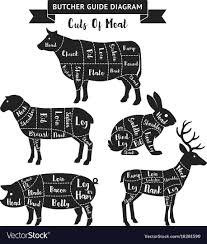 Butcher Guide Cuts Of Meat Diagram