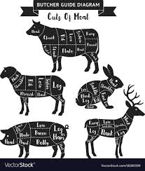 butcher guide cuts of meat diagram