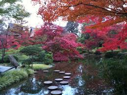 Ft Worth Botanical Gardens Japanese Area Japanese Garden Botanical Gardens Beautiful Gardens