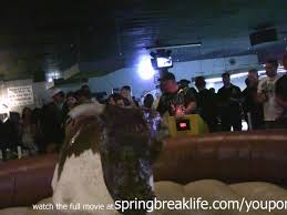 Kourtney kardashian and boyfriend travis barker have date night at ufc 260. Ligerie Bull Riding Free Xxx Porn Videos Oyoh