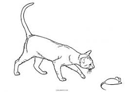 However, you can show all of them to your kids through our cat coloring pages. Free Printable Cat Coloring Pages For Kids