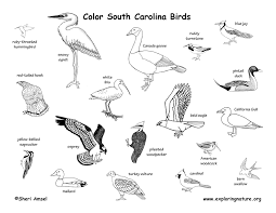 Login to add to favorites. South Carolina Habitats Mammals Birds Amphibians Reptiles