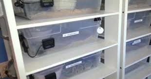 Diy Snake Rack Youtube Diy Rack Ball Python Rack
