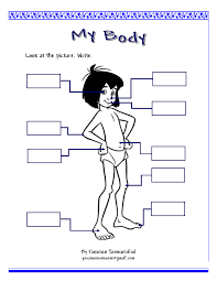 Students match the words to the correct pictures and complete the crossword. My Body