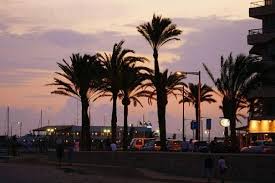 Hiszpania in polish dictionaries at pwn. Majorka Hiszpania Bild Von Mallorca Balearen Tripadvisor