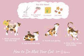 How to remove mats from cat's fur safely and easily by hand (bowie the ragdoll cat)mats are clumps of hair that have become entangled or knotted and can. How To Painlessly De Mat A Cat