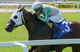 Horse Racing Nation - News update