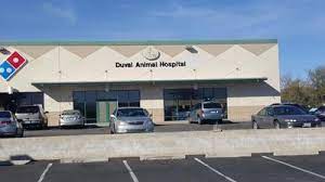 Vca animal hospitals, incorporated as vca, inc., operates more than 1000 animal hospitals in the us and canada. Duval Animal Hospital 1060 West Beta Street Green Valley Reviews And Appointments Topvet