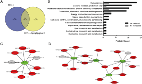 There are two main types of hsv: Anti Hsv 1 Activity Of Aspergillipeptide D A Cyclic Pentapeptide Isolated From Fungus Aspergillus Sp Scsio 41501 Virology Journal Full Text