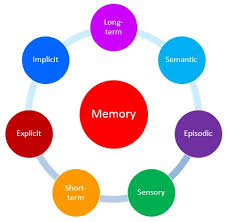 Classification Of Memory Types Of Memory