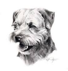 Entdecke rezepte, einrichtungsideen, stilinterpretationen und andere ideen zum ausprobieren. 170 Border Terrier Drawings Ideas In 2021 Border Terrier Terrier Dog Art