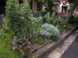 Pin On Verge Garden Or The Strip Between Sidewalk And Street