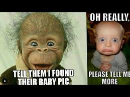 Funny photo memes funny relatable memes funny photos funny jokes hilarious quotes stupid memes stupid funny the funny funny happy. Extremely Funny Pictures And Memes Compilation Youtube