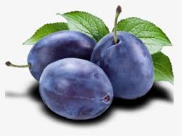 plums png images free transparent plums download kindpng plums png images free transparent