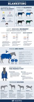 Horse Blanketing Guide Horse Blankets Horse Grooming Horse Care