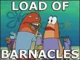 More this is a load of barnacles products. This Is A Load Of Barnacles Know Your Meme