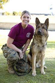 Megan Leavey 2017 Military Dogs Military Working Dogs War Dogs