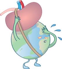 While chronic renal failure in dogs cannot be reversed or cured, treatment and management aimed at reducing the contributing factors and symptoms can often, chronic renal failure causes kidneys to become abnormally small. The Impact Of Chronic Kidney Disease On Global Health Nature Reviews Nephrology
