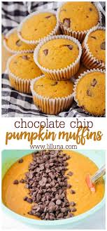 The Best Pumpkin Chocolate Chip Muffins Lil Luna Recipe Pumpkin Chocolate Chip Muffins Chocolate Pumpkin Muffins Chocolate Chip Muffins