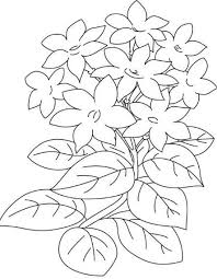 Sketsa bunga tulip, sketsa bunga matahari, gambar sketsa bunga matahari, sketsa bunga teratai, lukisan bunga yang mudah ditiru, sketsa bunga sepatu, sketsa bunga sakura, cara menggambar. Gambar Bunga Indah Hitam Putih 39 Gambar Sketsa Bunga Indah Sakura Mawar Melati Matahari 20 Bunga Flower Coloring Pages Coloring Pages Super Coloring Pages