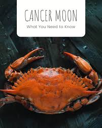 They will give you their all in a friendship and relationship, and will never leave your side when you really need them. Everything There Is To Know About The Zodiac Sign Cancer Exemplore