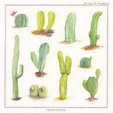 Rated 4.50 out of 5. Nudus Cactus Joe Space Drumtomski Radio Juicy