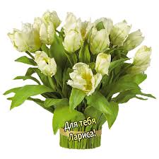 images?q=tbn:ANd9GcQKOV21X6ooKSDdjc_2S1h3KajV9Lj6mLSjcYrC5Hps28SY4Q75Gg