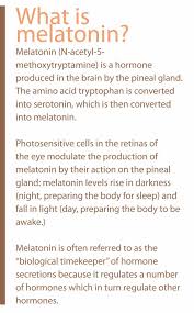 Melatonin For Dogs And Cats Animal Wellness Magazine