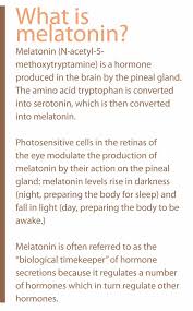 melatonin for dogs and cats animal wellness magazine