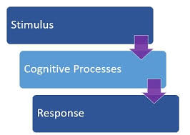 Cognitive Learning Theory