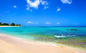 Make memories to last a lifetime at paradise beach. Paradise Beach In Bridgetown Expedia