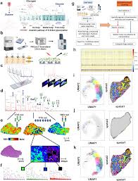 Spatial metabolomics reveals glycogen as an actionable target for pulmonary  fibrosis